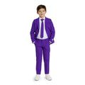 Purple Joker Prince Jongen Kostuum