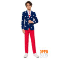 Stars And Stripes USA Adolescent Costume