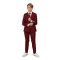 Teen Boys Devilish Red Jongen Kostuum