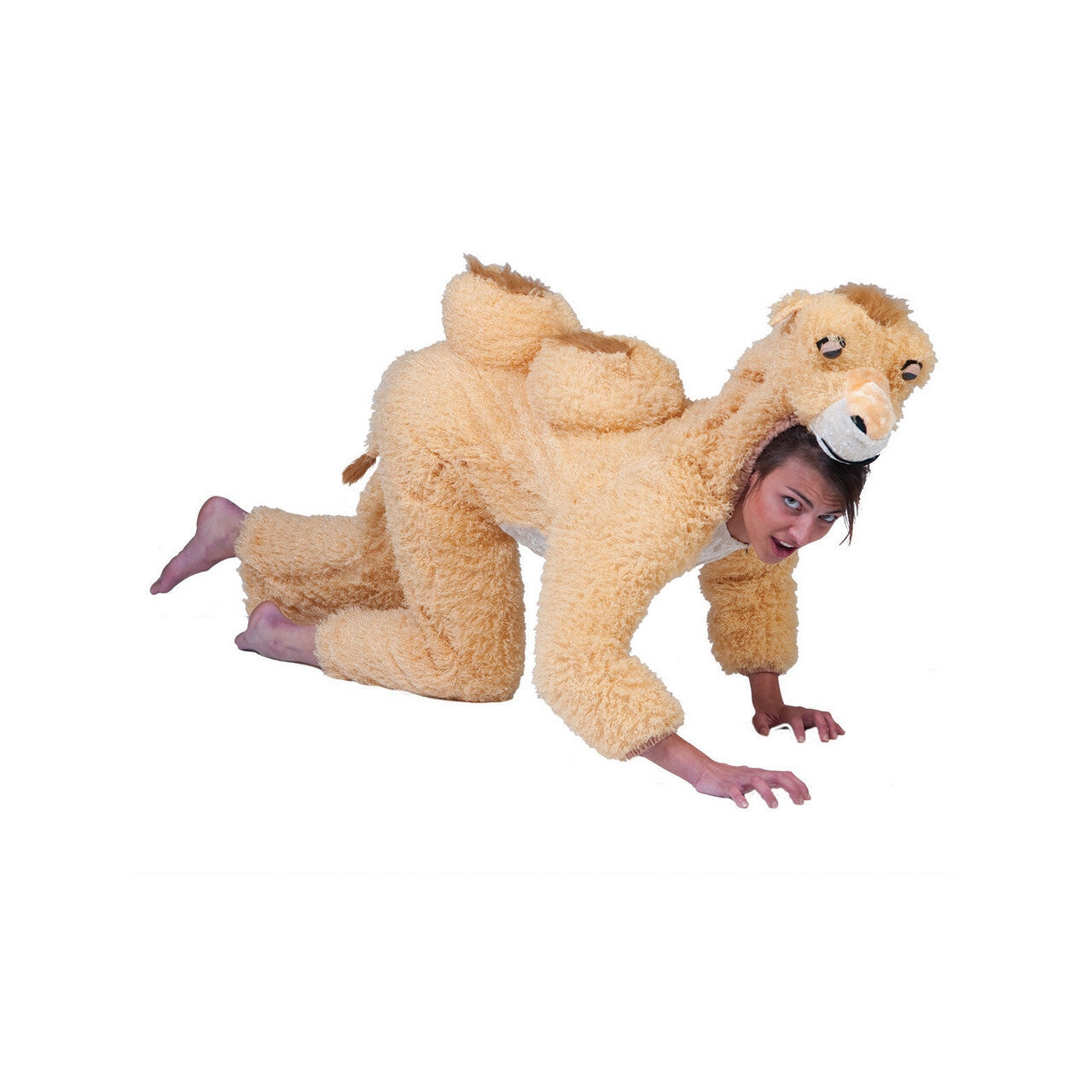 Op deze afbeelding zie je een Kostuums, van het merk Pierros. Twee Bultige Kameel Kostuum