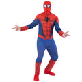 Klassieke Peter Spiderman Kostuum