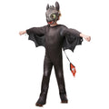 Ohnezahn Kinderdrache Kostüm