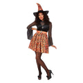 Sorcière Cartoonesque Costume