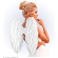 Ailes Dange Blanches En Plumes