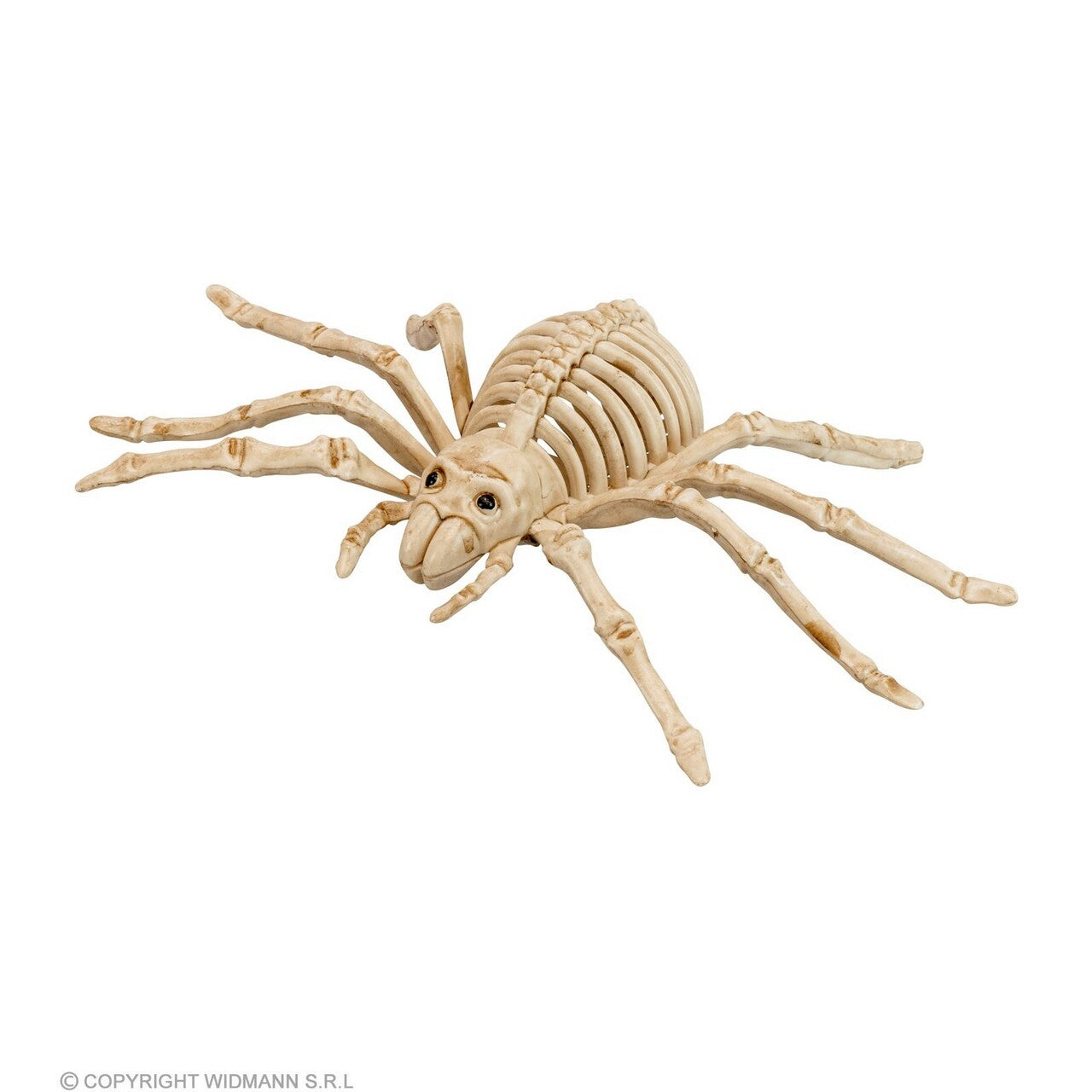 Op deze afbeelding zie je een Decoratie, van het merk Widmann. Decoratie Skelet Spin