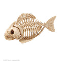 Skelett Piranha Fisch Dekoration