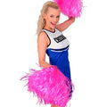 Cheerleader Pom Pom Roze 1 Stuk