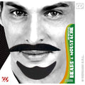 Barbe Et Moustache Noires