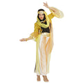 Costume De Danseuse De Harem Élégante Femme Costume