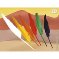 Set De 12 Plumes Indiennes