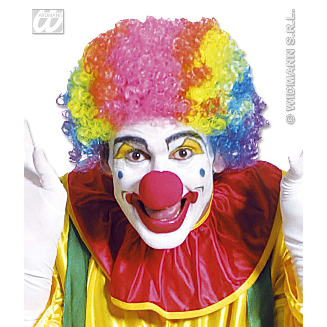 Op deze afbeelding zie je een Accessoires, van het merk Widmann. Pruik, Meerkleurig Met Krullen