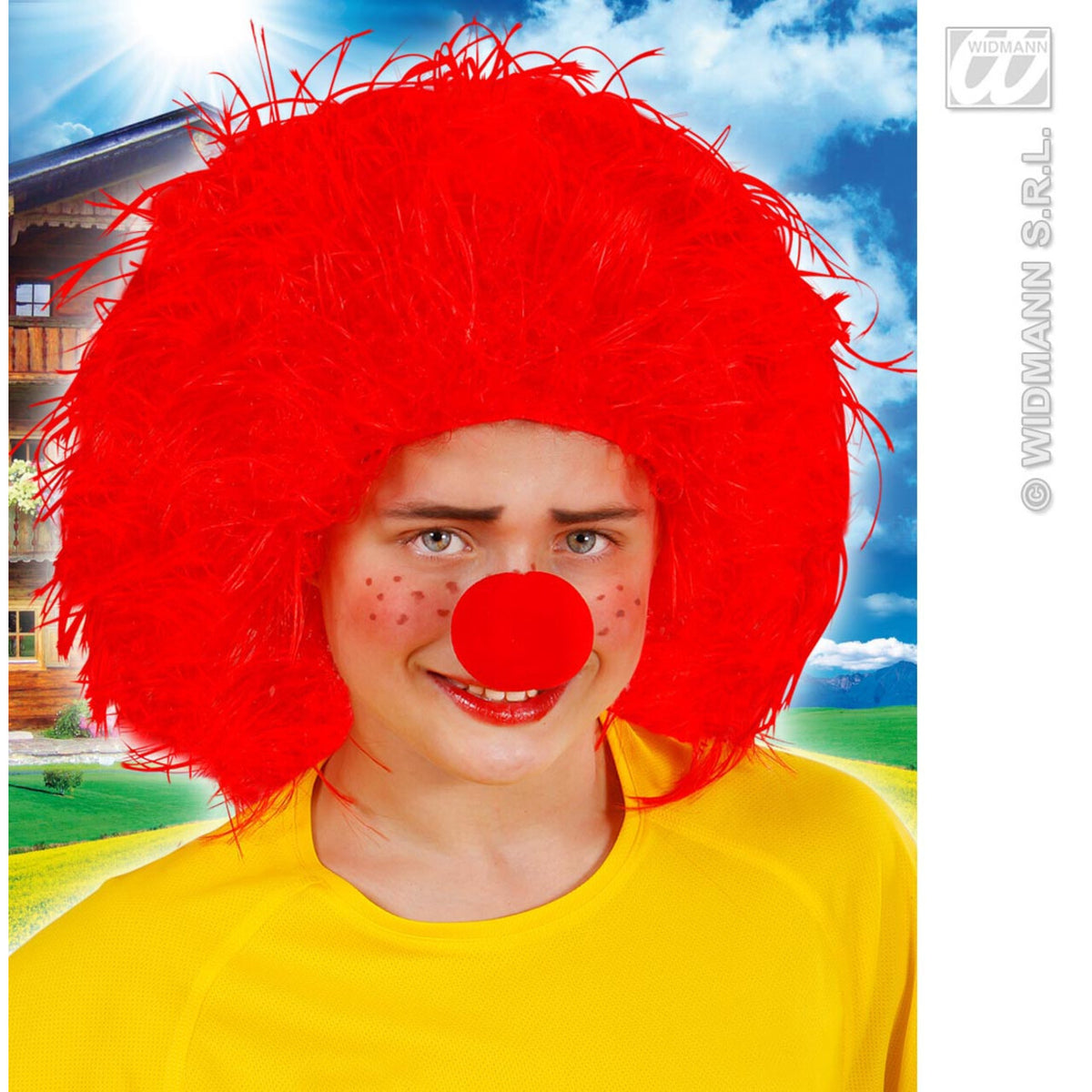 Op deze afbeelding zie je een Accessoires, van het merk Widmann. Pruik, Karakter Kind, Rood