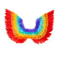 Drag Queen Veren Vleugels, Regenboog