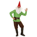 Nain De Jardin Vert Costume