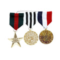Trotse Gevechtsmedaille