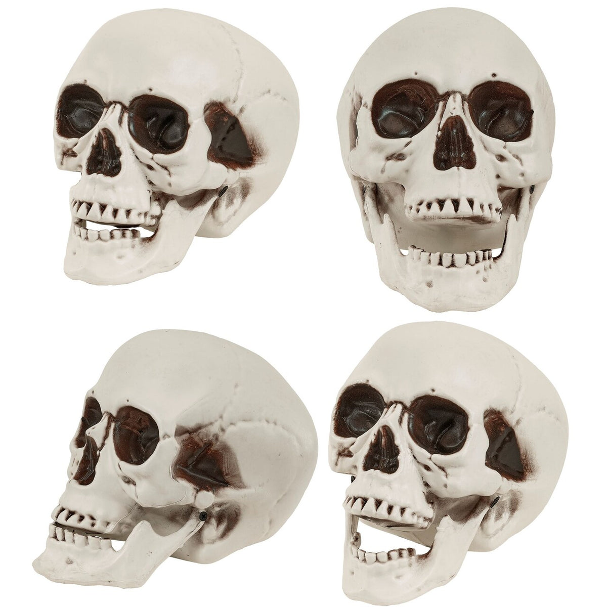 Op deze afbeelding zie je een Decoratie, van het merk Widmann. Halloween Schedel Met Beweegbare Kaak