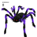 Araignée Poilue Violette