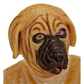 Cartoony Masker, Bulldog
