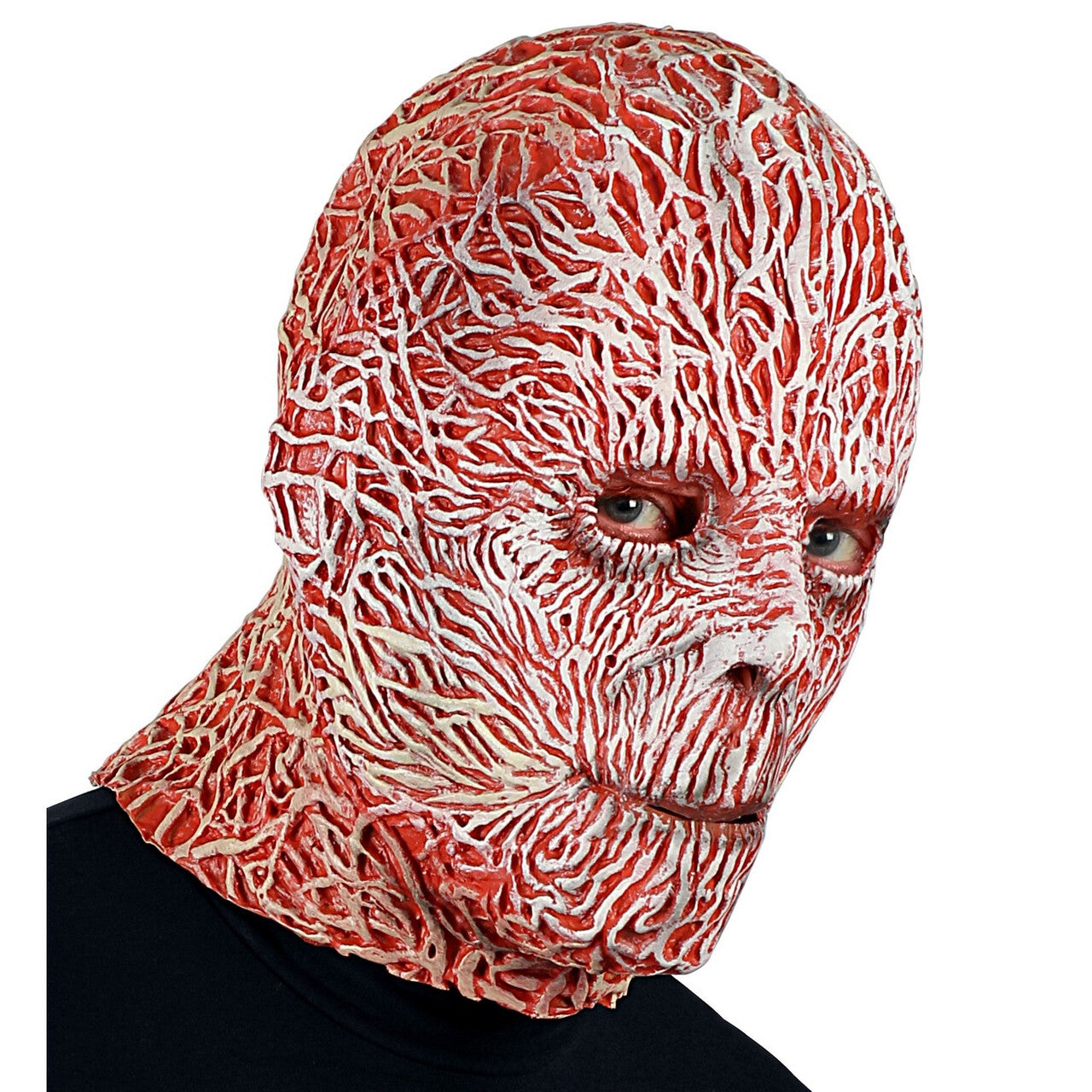Op deze afbeelding zie je een Accessoires, van het merk Widmann. Freddy Krueger Elm Street Masker