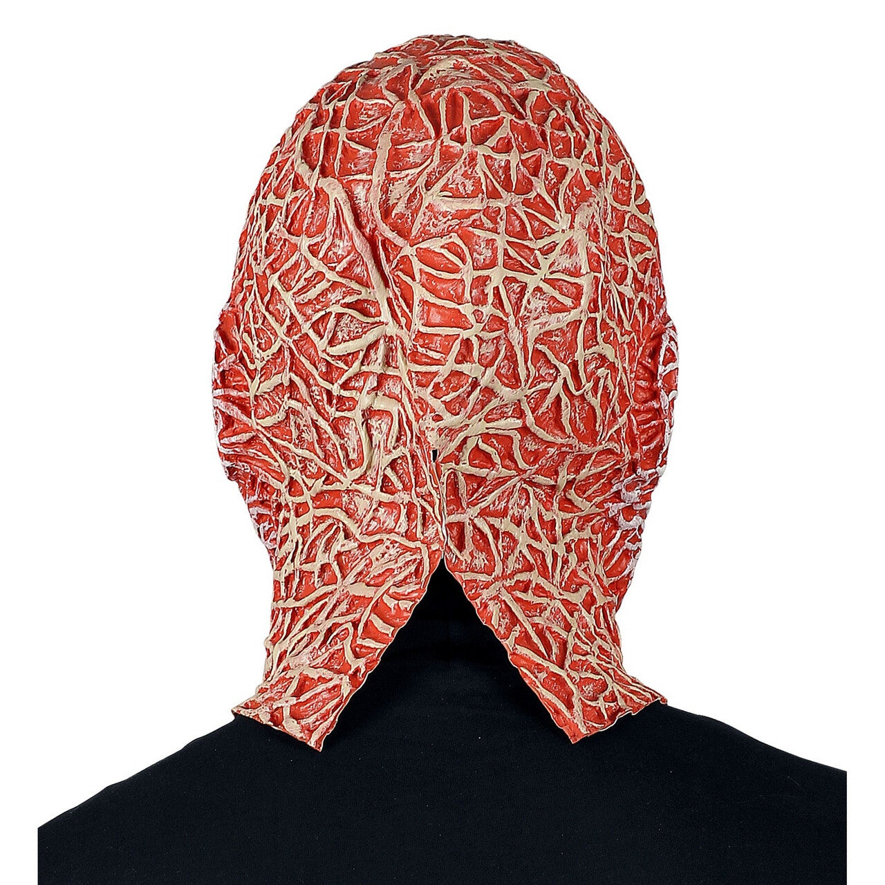 Op deze afbeelding zie je een Accessoires, van het merk Widmann. Freddy Krueger Elm Street Masker