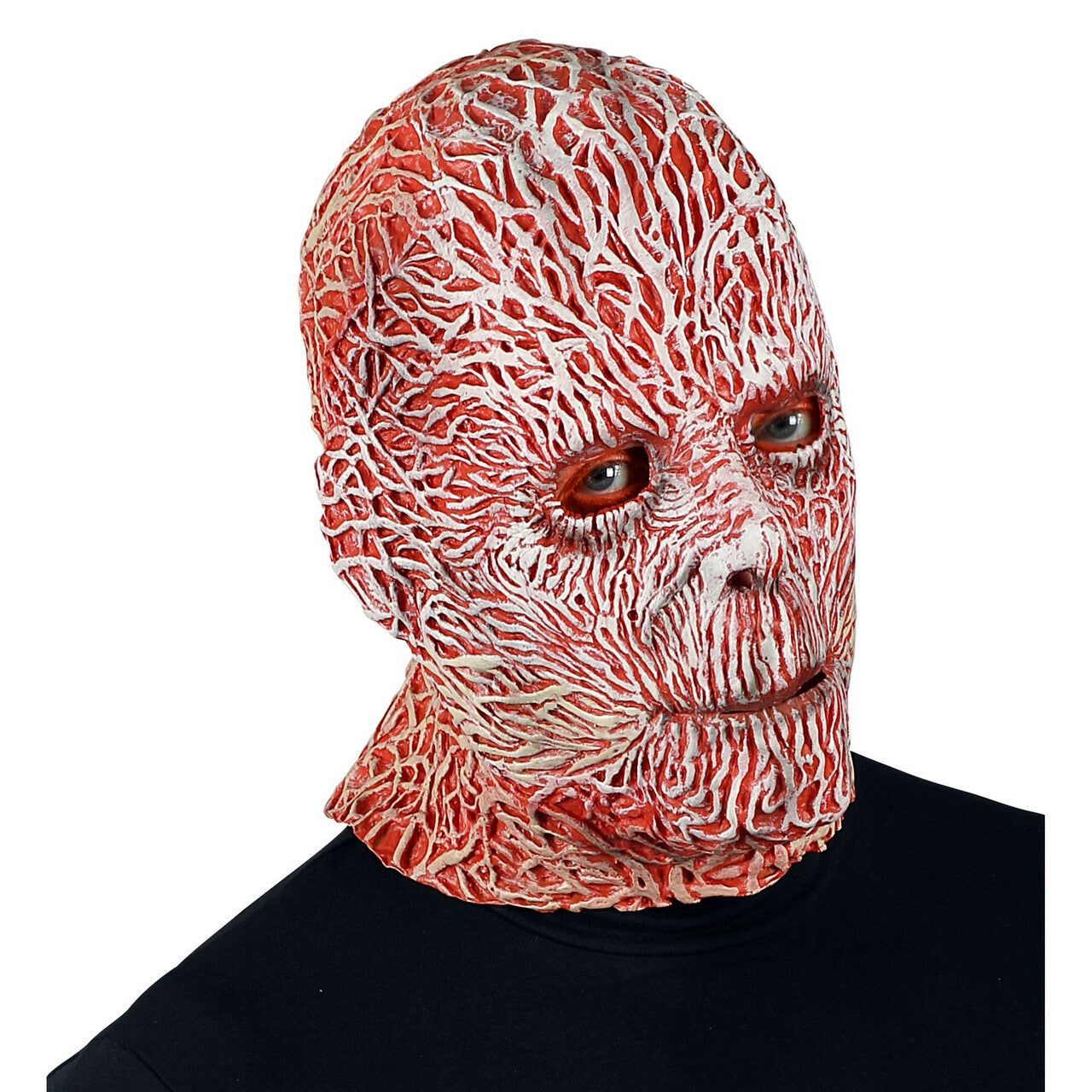 Op deze afbeelding zie je een Accessoires, van het merk Widmann. Freddy Krueger Elm Street Masker