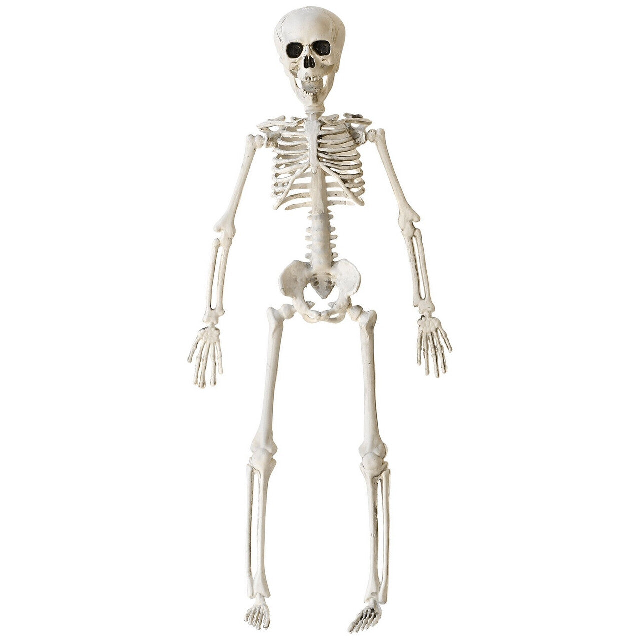 Op deze afbeelding zie je een Decoratie, van het merk Widmann. Bungelend Skelet 40 Centimeter