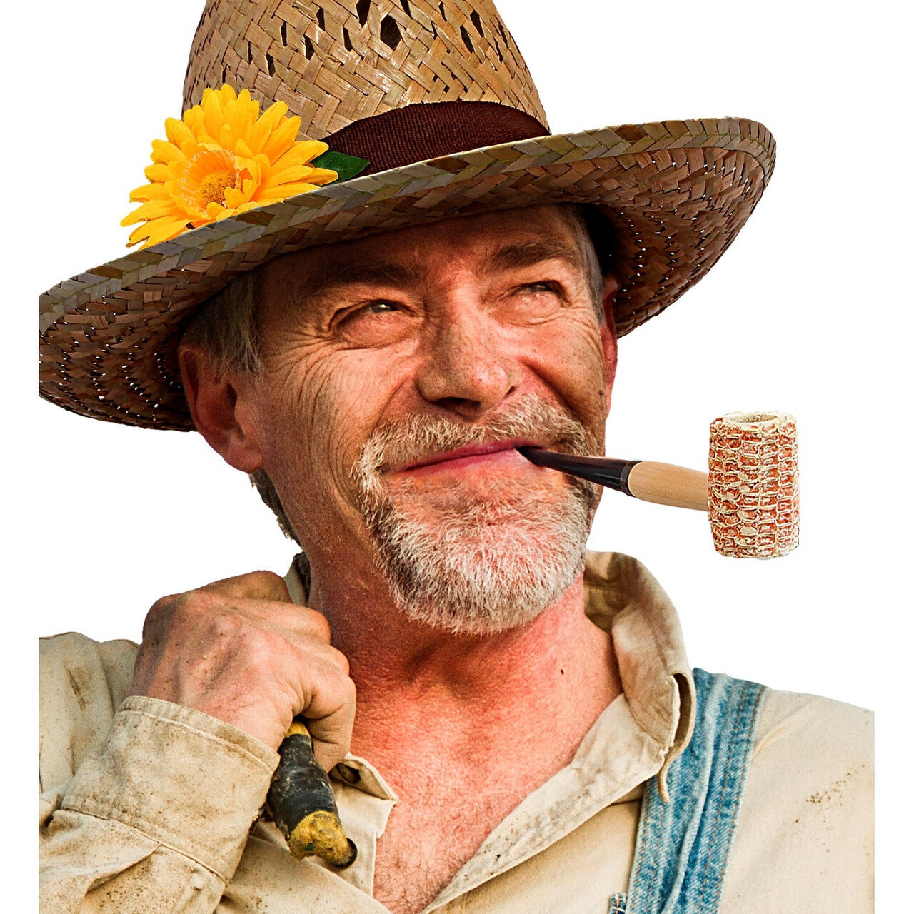 Op deze afbeelding zie je een Accessoires, van het merk Widmann. Pijp Uitgeholde Maiskolf