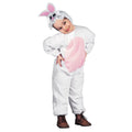 Lapin Dessin Animé Costume