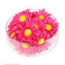 Dekoration Madies Fuchsia Bloemenzee