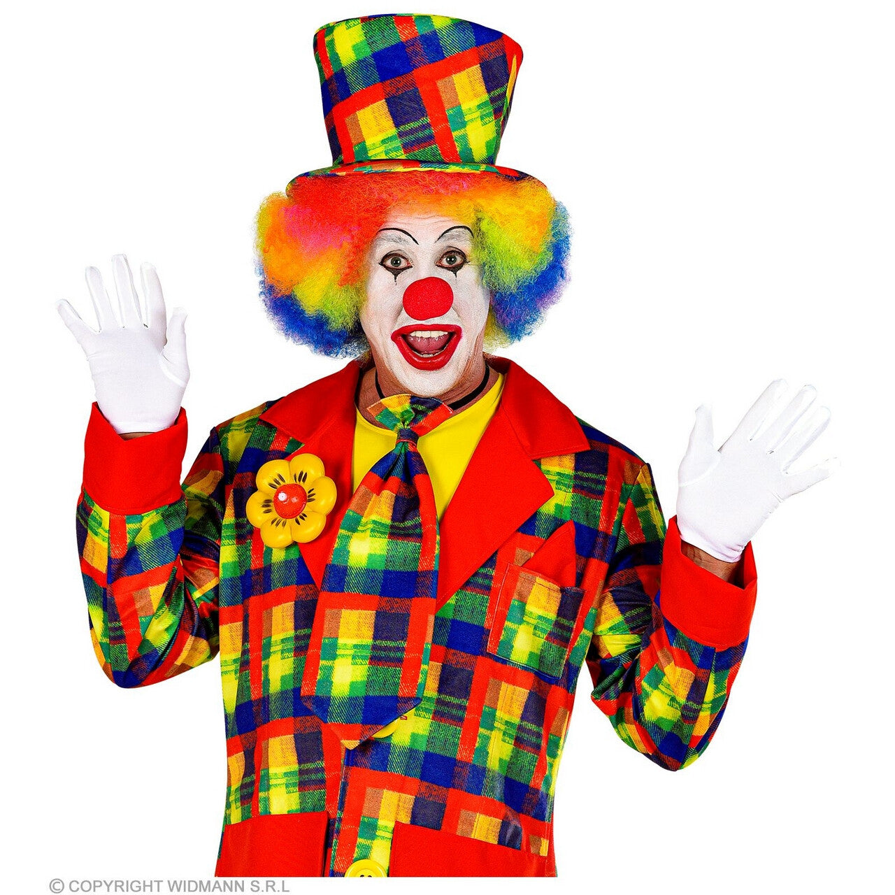 Op deze afbeelding zie je een Accessoires, van het merk Widmann. Vrolijke Stropdas Clown Geblokt