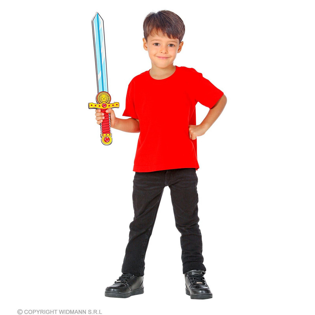 Op deze afbeelding zie je een Accessoires, van het merk Widmann. Zwaard Van De Leeuwenwacht
